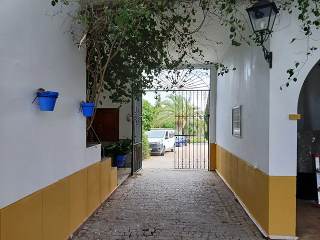 Zaguán de entrada con zócalo en albero